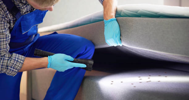 Best Best Pest Control Companies  in Bealeton, VA